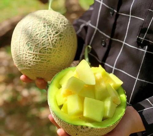 娱乐市场有瓜吃吗,揭秘那些你不知道的幕后故事